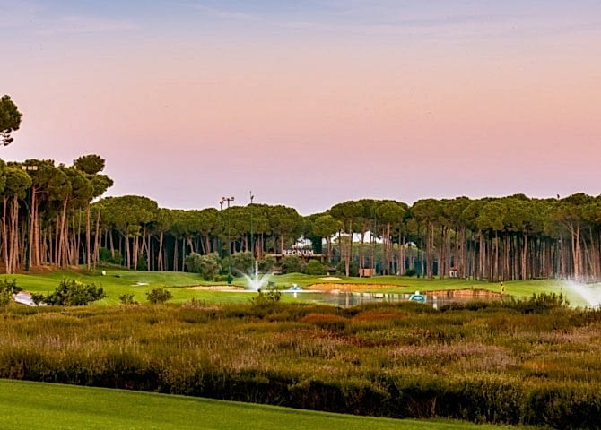 About Caryagolf M Min