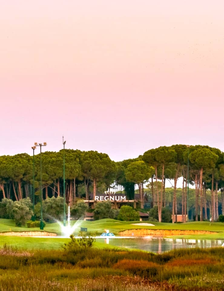 About Caryagolf Min