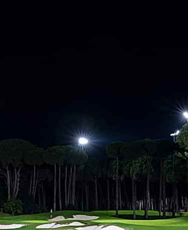 Floodlight Mobil 1